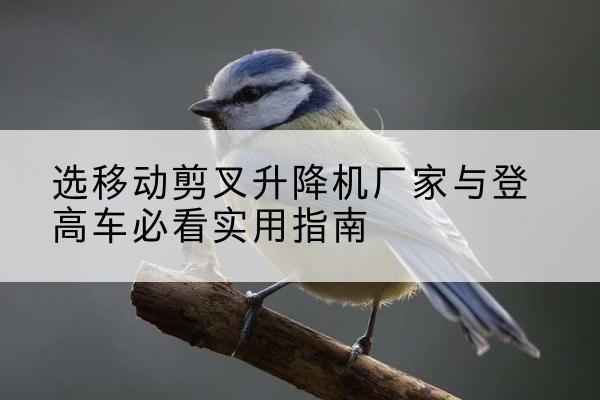 泉山电动升降机厂家-选移动剪叉升降机厂家与登高车必看实用指南