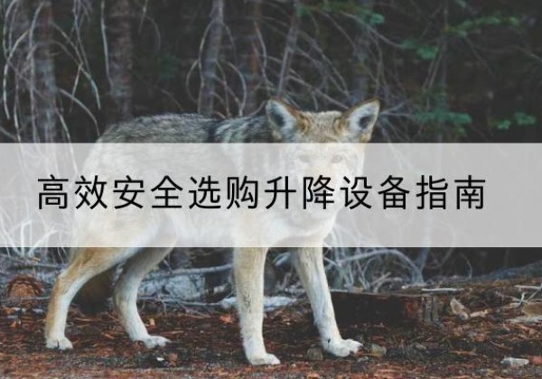 泉山升降货梯厂家推荐-*安全选购升降设备指南