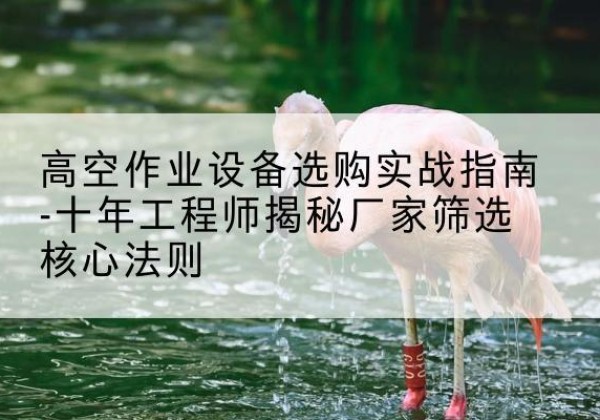 泉山剪叉式升降机厂家-高空作业设备选购实战指南-十年工程师揭秘厂家筛选核心法则